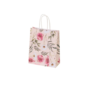 Paper bags - with twisted handles and design
