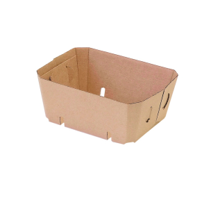 Microcorrugated cardboard box