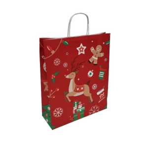 Paper bags - with twisted handles and design